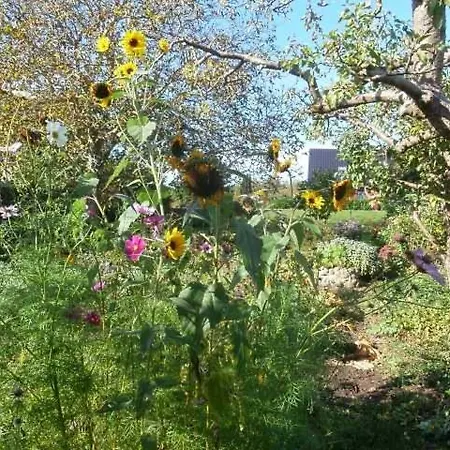 Familien-ferienhaus Unweit Vom Kummerower Apartmán Gorschendorf